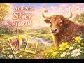 Stier ♉️ Tarot ♉️ März 2026. Ein Wendepunkt, mit dem du nicht gerechnet hast.