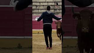CASI LE PEGA EN LA CARA!! Ajustado pasito de Mikelele a la de Ganuza #vaca #ganuza #quiebro #navarra