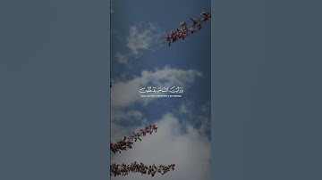 #سورة_النصر 🤍🥀 #قران_كريم #قرآن #اكتب_شي_تؤجر_عليه #اكسبلور #اكسبلور_explore #تلاوة_خاشعة #explore