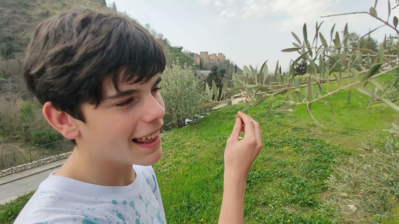 El Centro Ave María Casa Madre participa en el concurso Andalucía: Un olivar único