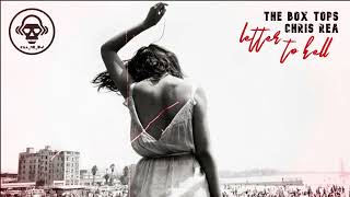 The Box Tops VS Chris Rea - Letter To Hell (Kill_mR_DJ Mashup)