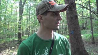 Archery tips and training for bow hunting