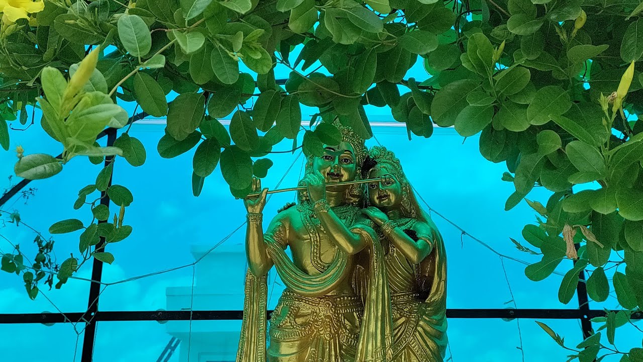 Radha Krishna 💕💞🌺- Home 🏠 Garden environment 🌿☘️