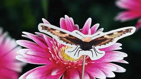 Super Senses HMH Get Curious