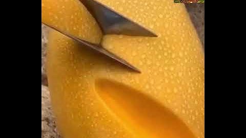 تلاوة رائعة من سورة البروج للشيخ القارئ وديع اليمني