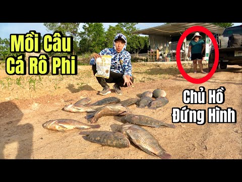 Test Mồi Câu Rô Phi Siêu Tốc khiến Chủ Hồ Đứng Hình?