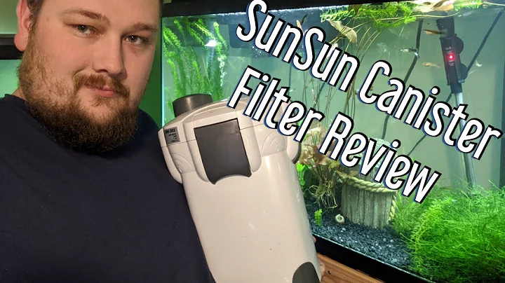 SunSun canister filters - my review!