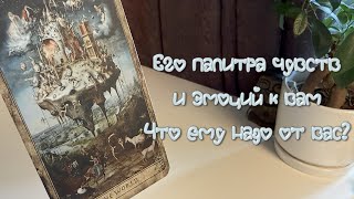 видео: Его палитра чувств и эмоций к вам. Что ему надо от вас? картинка: Его палитра чувств и эмоций к вам. Что ему надо от вас?