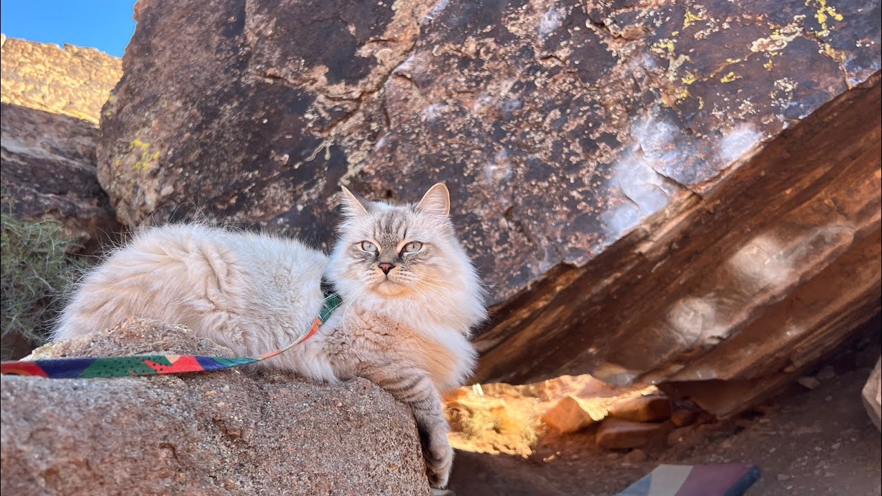 Show of Hands V10, Moe’s Valley
