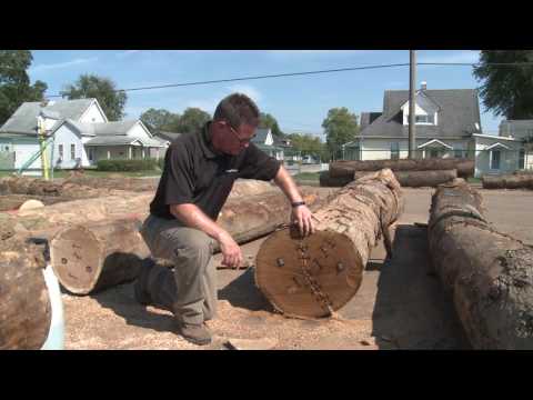 Hardwood Veneer: Species and Defects Hardwood Veneer: Species and Defects