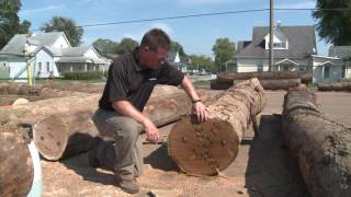 Hardwood Veneer: Species and Defects