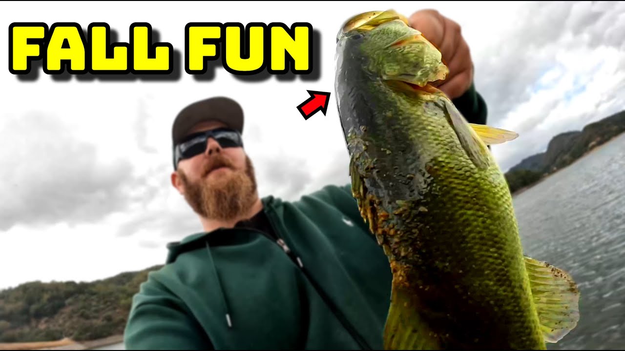 Fun Fall Fishing! (Uvas Reservoir Bass Fishing)