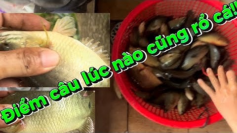 Tập 14/ Giao lưu cùng anh em Bến Tre,điểm câu  làm anh em không thất vọng,cả thùng cá rô luôn ❤️❤️❤️