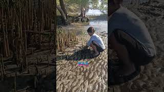 Bersama Ikut Jaga dan Rawat Alam SUMBA