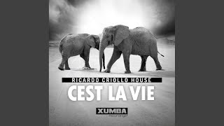 Download Lagu Cest La Vie (Radio Mix)