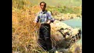 134086973310676 59425