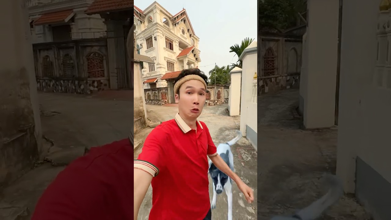 Cách xử lý khi bị chó đuổi | Trọng Sao Review #shorts