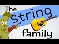 String Family Instruments Quiz