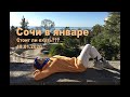 Сочи в январе, стоит ли ехать? Библиоглобус, Сочи парк отель.