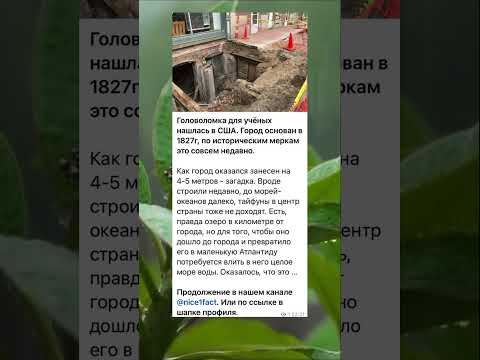 23 августа 2023