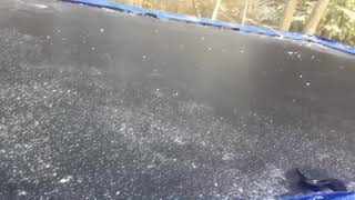Chill trampoline edit