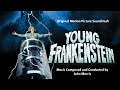 Young frankenstein  soundtrack suite john morris