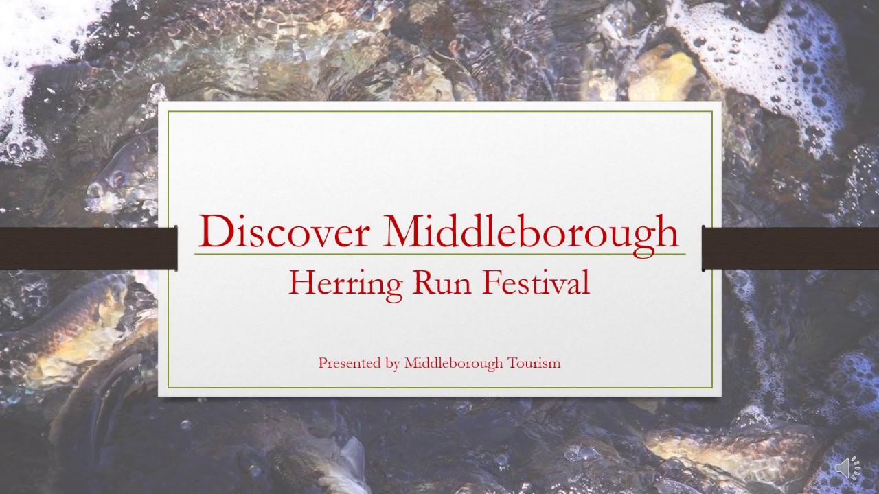 Discover Middleborough's Herring Run Festival YouTube