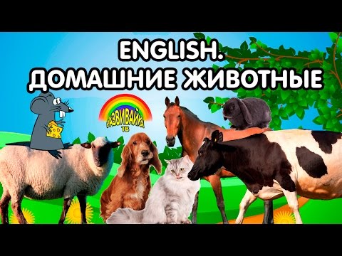 Английский для детей. Домашние животные. English For Children. Farm Animals. Развивающие мультики.