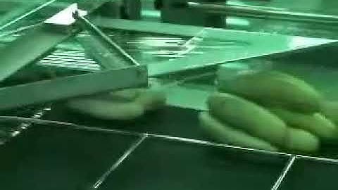 Side Sealer and Shrink Tunnel | Ascent Packaging Systems