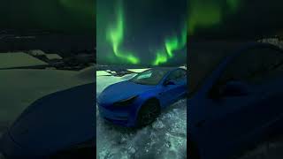 Tesla Motors shorts