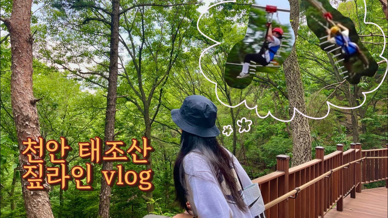 vlog16_초여름의 하루 | 태조산공원 | 태조산짚라인