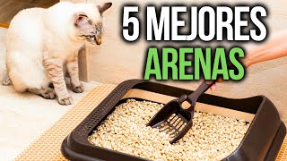 Las 5 mejores arenas para gato [2026]