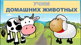 Учим Домашних Животных. Учимся Говорить. Развивающее Видео Для Детей. Карточки Домана.