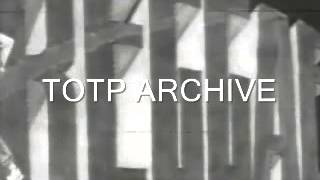 Piglets Johnny Reggae Wiped Totp