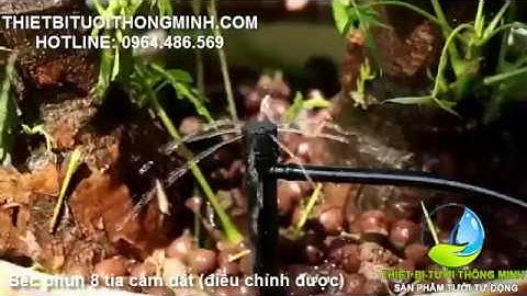 Béc phun 8 tia cắm đất (gốc) điều chỉnh được tưới nhỏ giọt, tưới khay rau, chậu kiểng