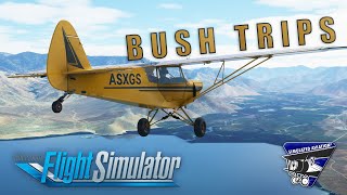MSFS: Bush Trips - Everything You Need To Know