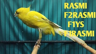 Download Lagu MATERI RASMI, F2RASMI, F1YS, F1RASMI, F2SF  !!   MONGGO DI GAS BOS Q MP3