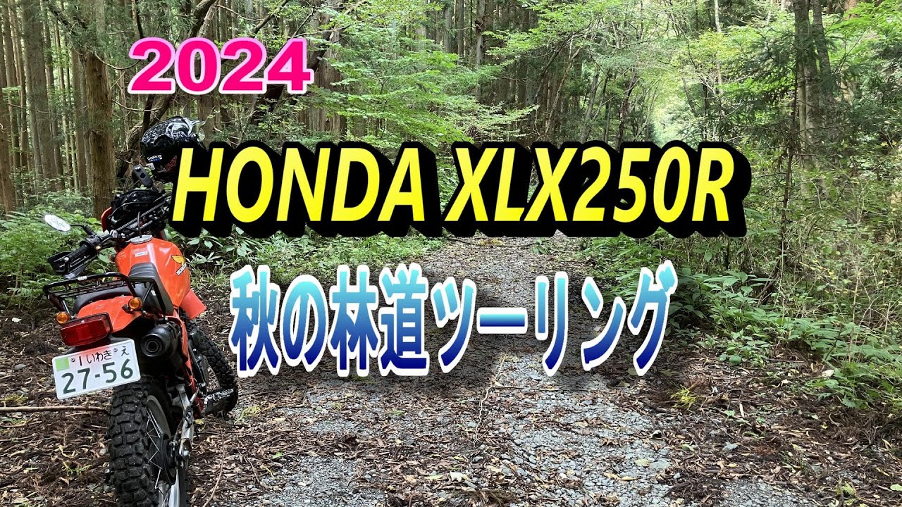 秋の林道ソロツーリング HONDA XLX250R 仏具山林道 ラーツー - YouTube