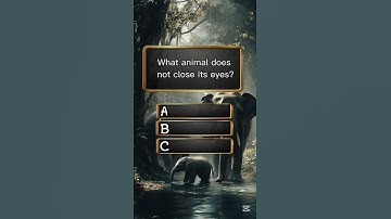 can you get 3/3#quiz #quizzes #quiztime #mathquiz #quizchallenge #math #trivia #quizz #learn