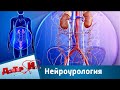 Нейроурология | Доктор И