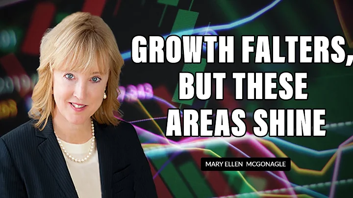 Growth Falters, But These Areas Shine | Mary Ellen McGonagle | The MEM Edge (12.09.22)