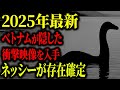 ネッシーは実在した…目撃者が捉えた映像で判明したネッシーの正体と衝撃の事実…【ゆっくり解説】