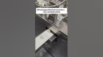 Fully Automatic Wonton Machine Wonton Dumpling Making Machine  #machine#wontons