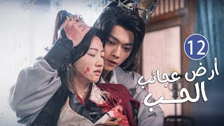 الحلقة 12 من دراما الحب و الرومانسية بطولة شو كاي - جينغ تيان( أرض عجائب الحب | Wonderland of Love )