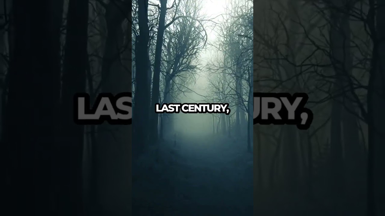 Rising Sea Levels: Are Your Coastal Cities Safe? 