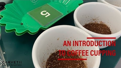 An Introduction to Coffee Cupping