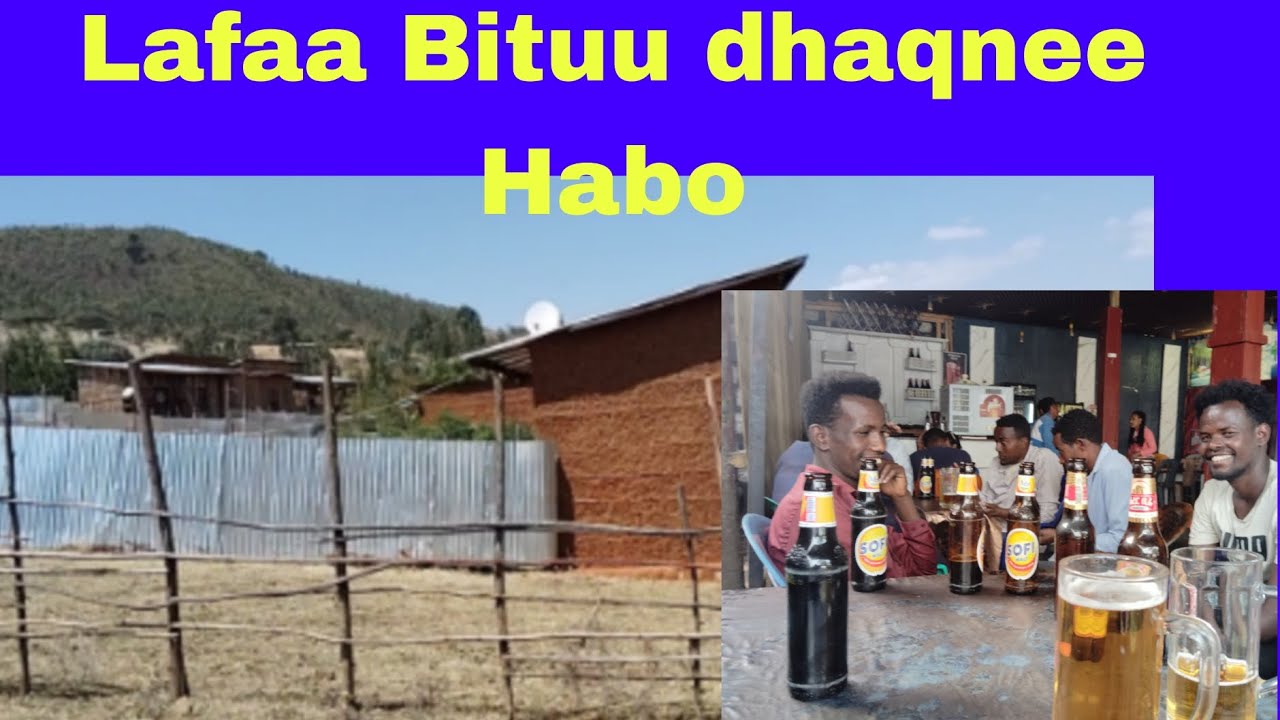 Lafaa karee dhibaa afurii binee parti 1