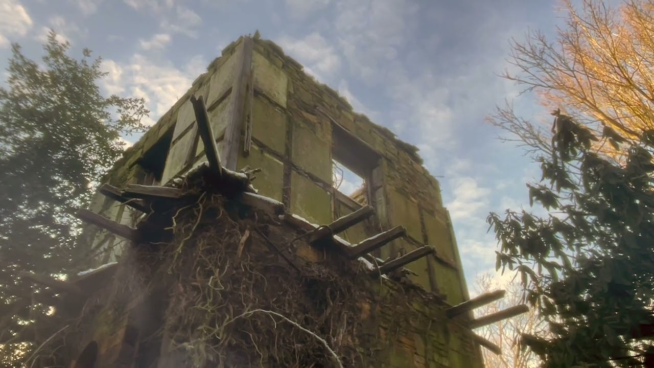 Knotty Pine by Obelisk Grove