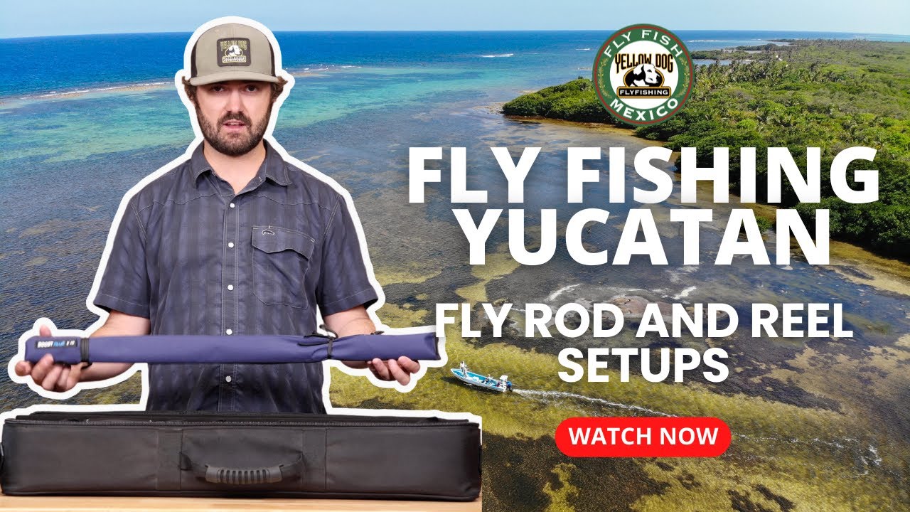 Rods and Reel Setups for Fly Fishing The Yucatan 