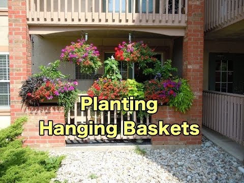 Planting